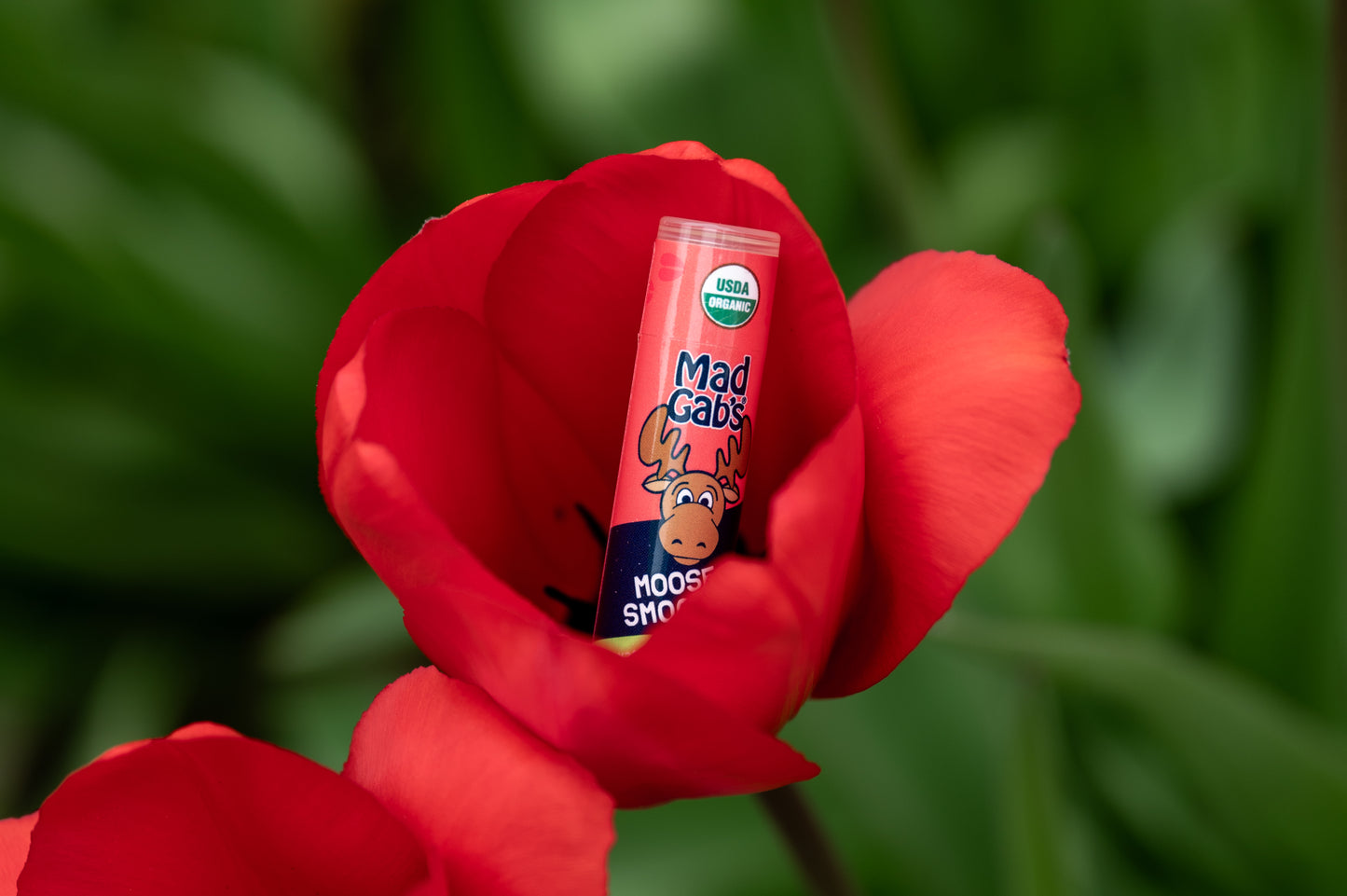 Moose Smooch Watermelon Ice Lip Balm